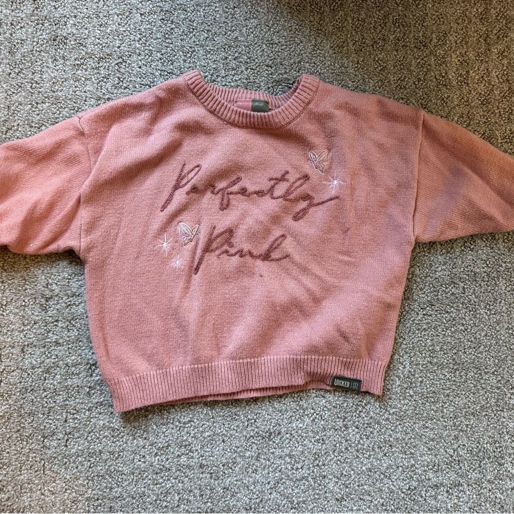 Embroidered Wicked Toddler Sweaters